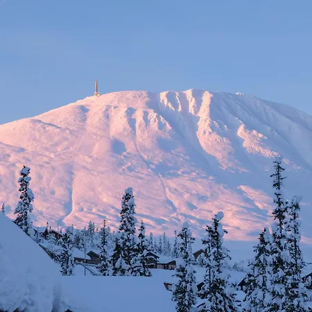 Gausta Lodge Med 6 Sengeplasser I Naerhet Til Gaustatoppen Gaustablikk Exterior photo