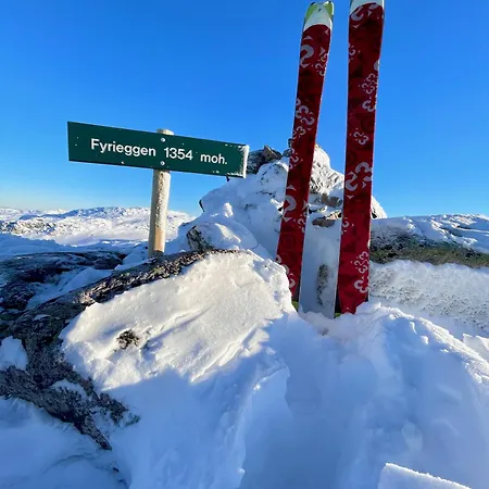 Gausta Lodge Med 6 Sengeplasser I Naerhet Til Gaustatoppen Gaustablikk Exterior photo