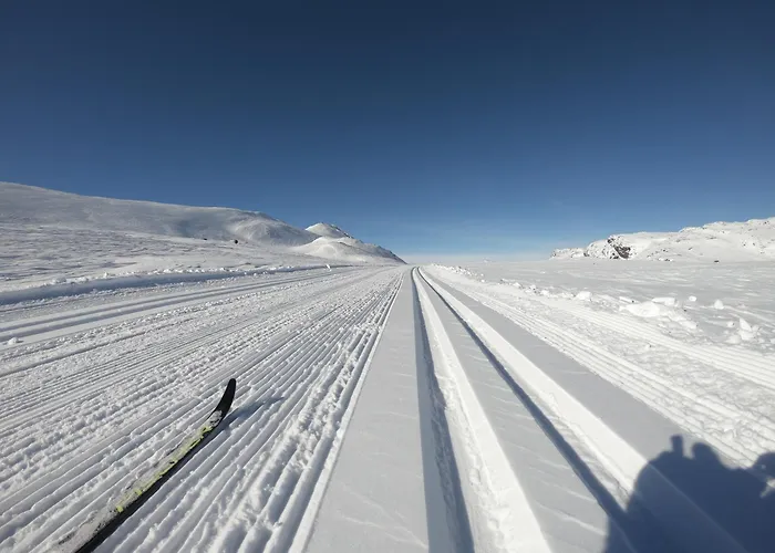 Gausta Lodge Med 6 Sengeplasser I Naerhet Til Gaustatoppen